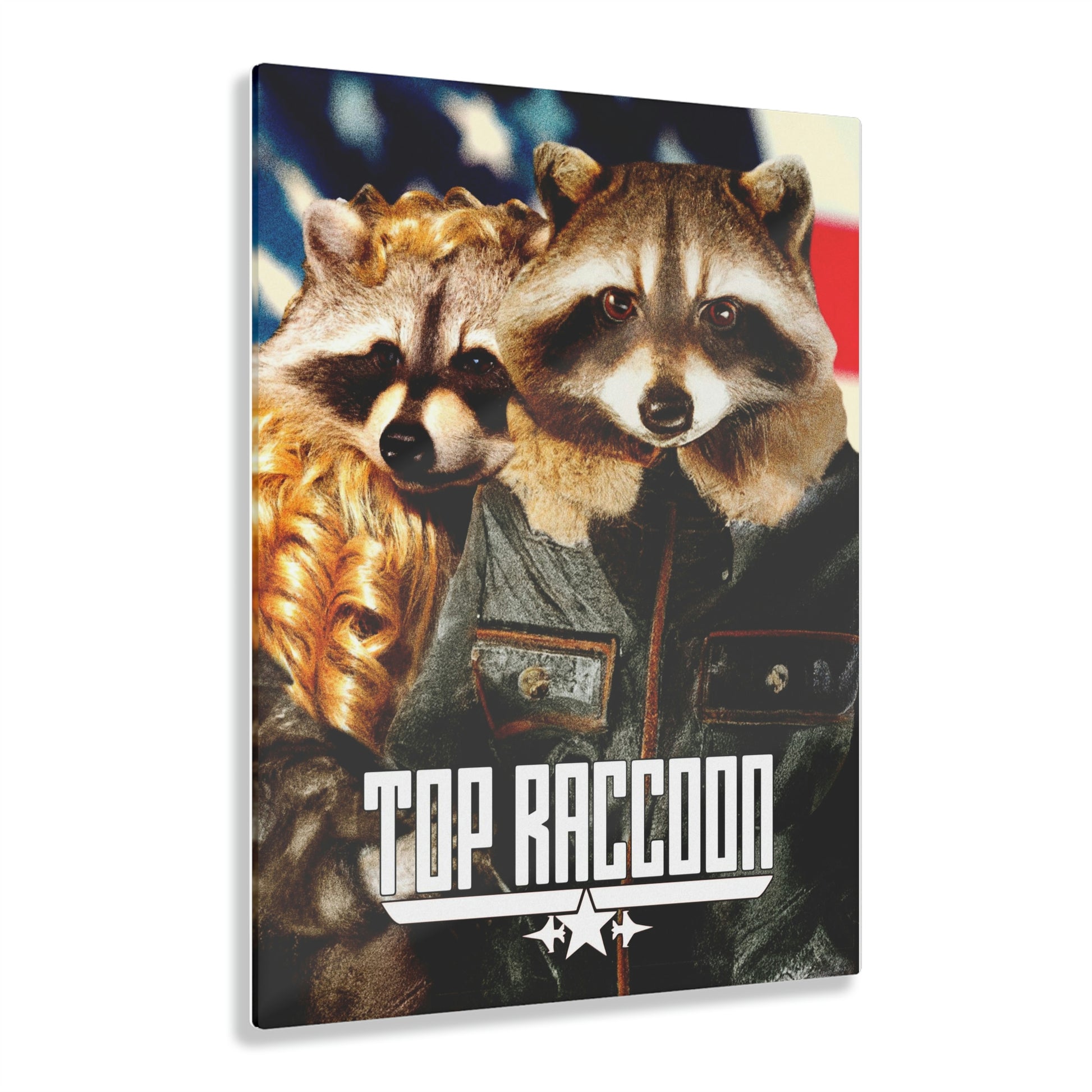 Top Raccoon Acrylic - Raccoon Paradise