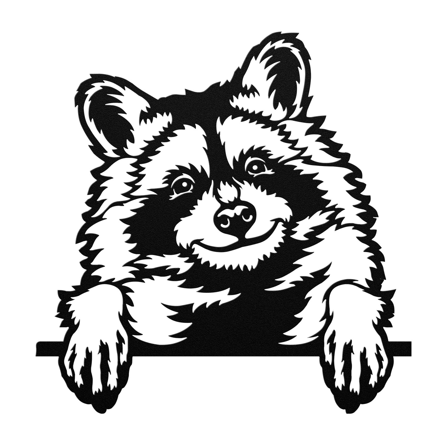The Peeking Raccoon - Raccoon Paradise