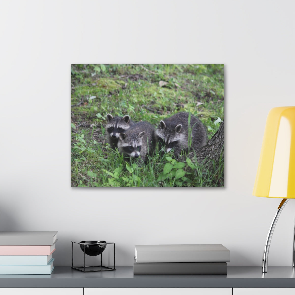 The Little Trio Canvas - Raccoon Paradise