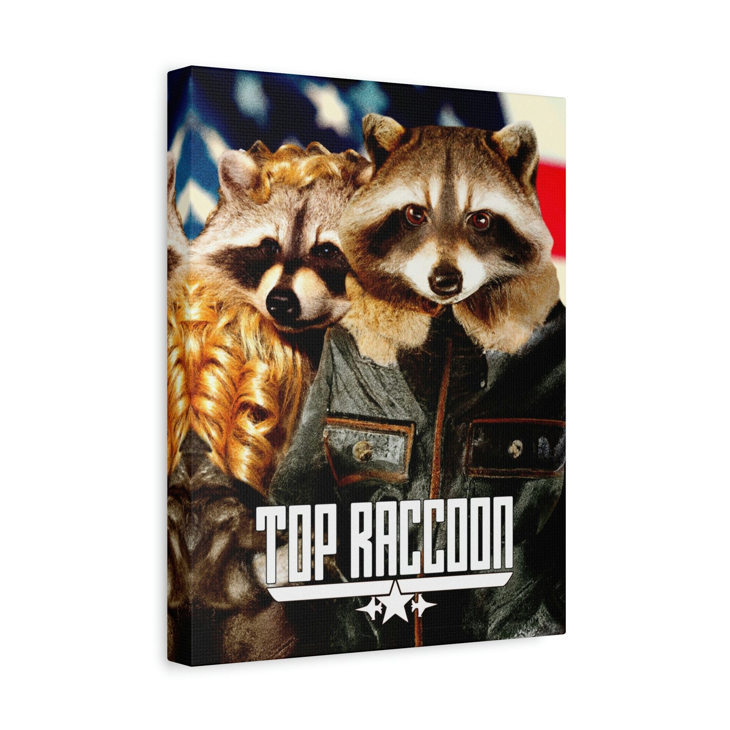 Top Raccoon Canvas - Raccoon Paradise