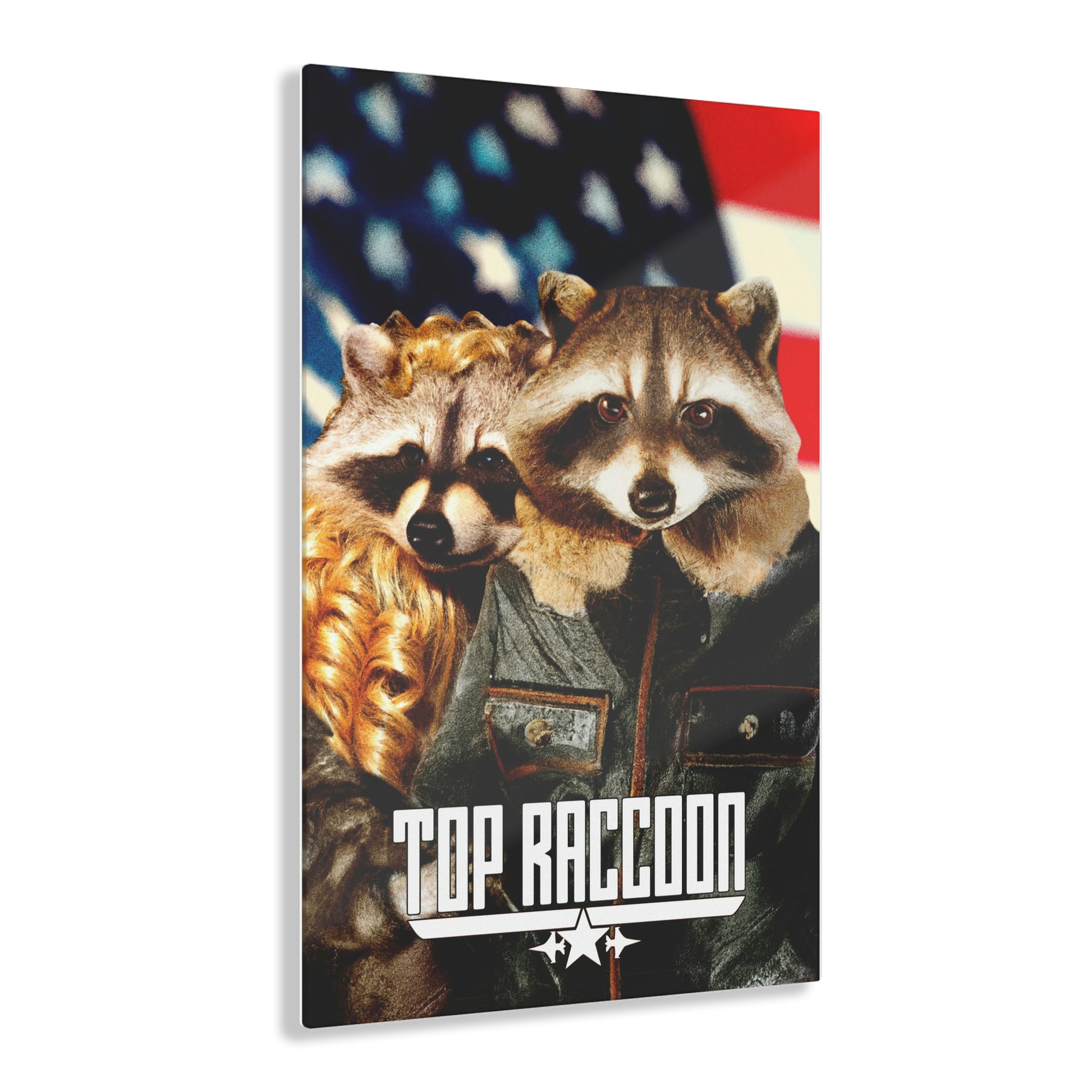 Top Raccoon Acrylic - Raccoon Paradise